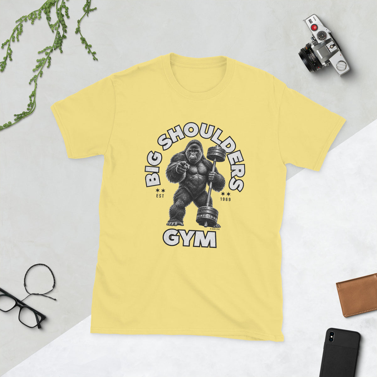 Product mockup